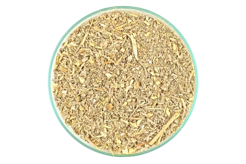 Zioło BYLICA PIOŁUN Artemisia absinthium